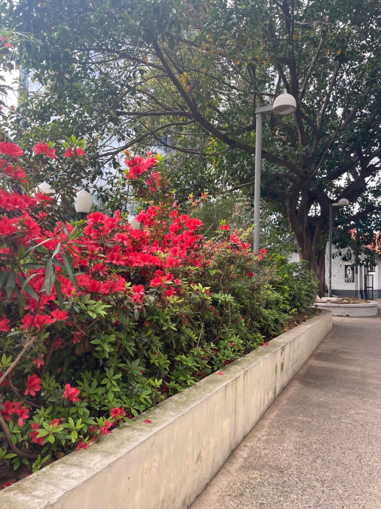 Hotel Vicente López מראה חיצוני תמונה